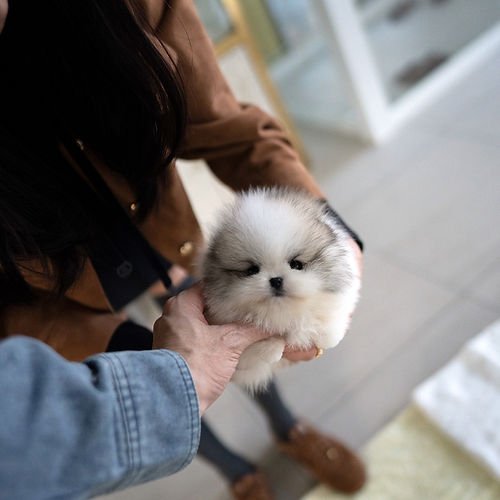 auto draft auto draft