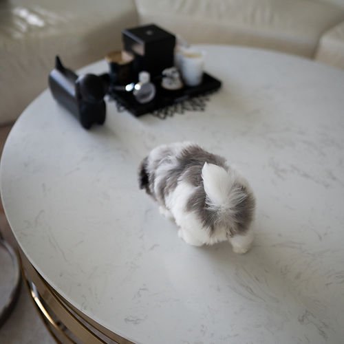 auto draft auto draft