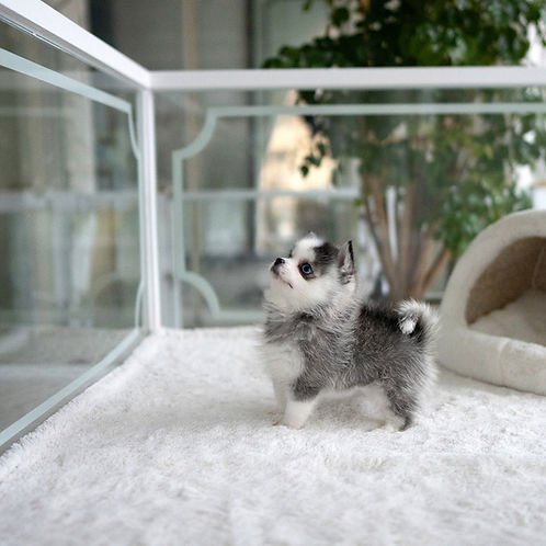 auto draft auto draft