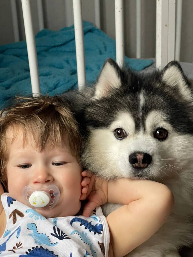 photo 2025 10 08 21 32 08 768x1024