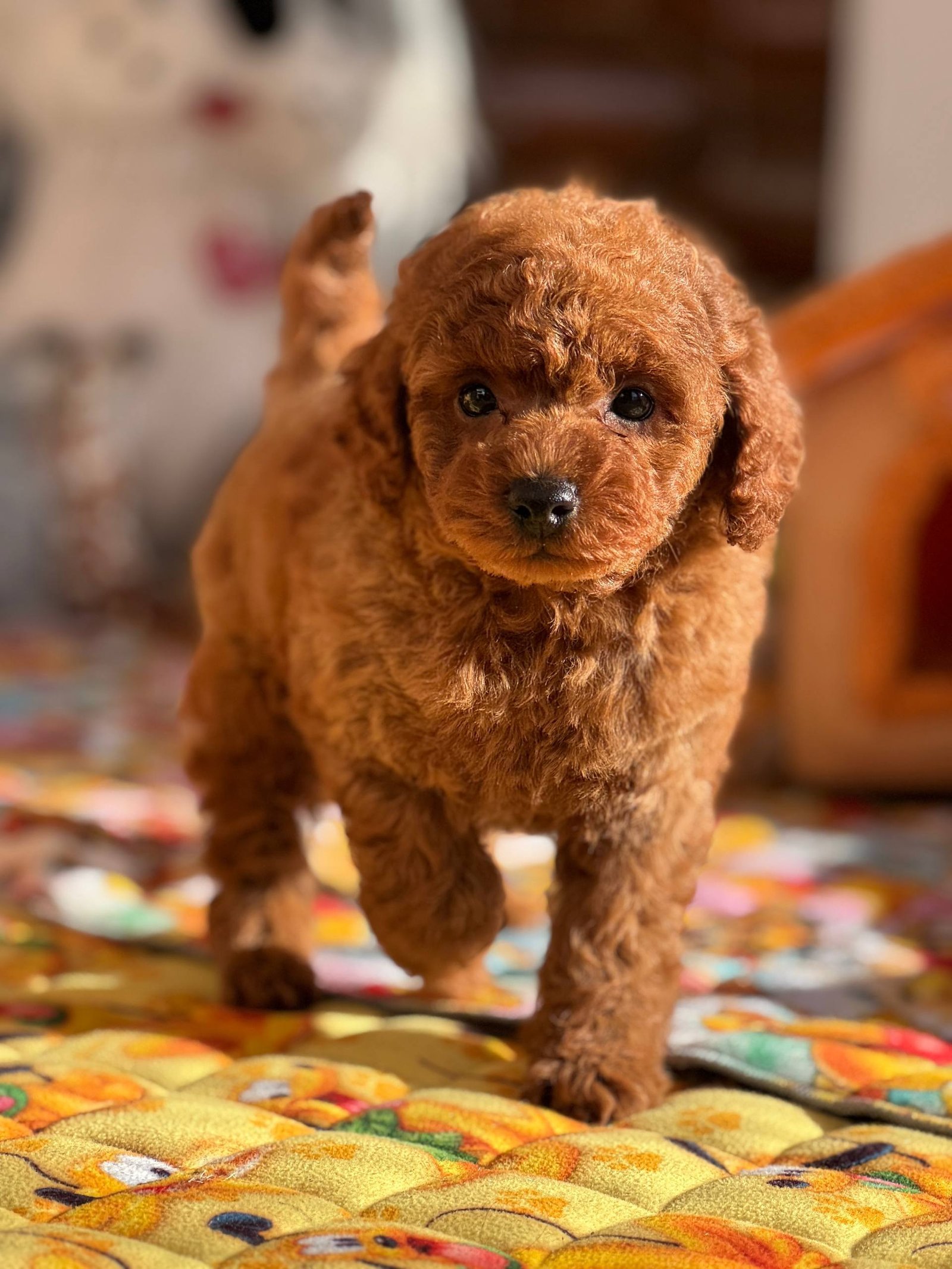 photo 2026 01 02 23 32 30 1