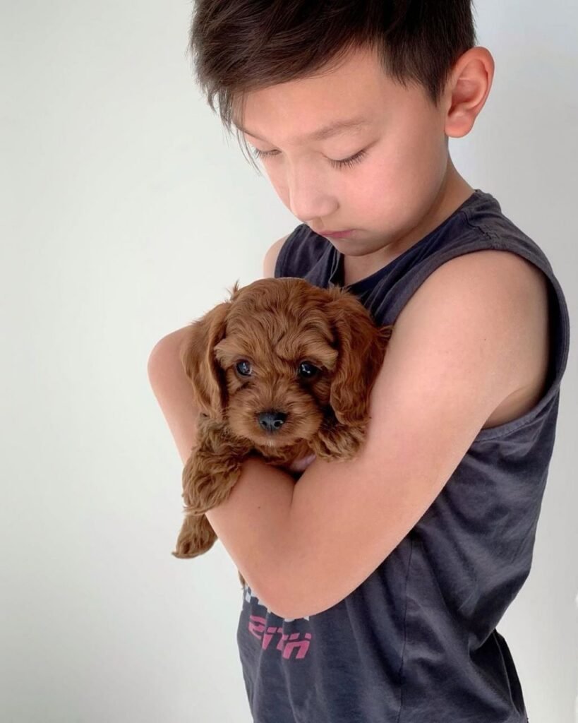 photo 2026 01 04 18 03 16 819x1024