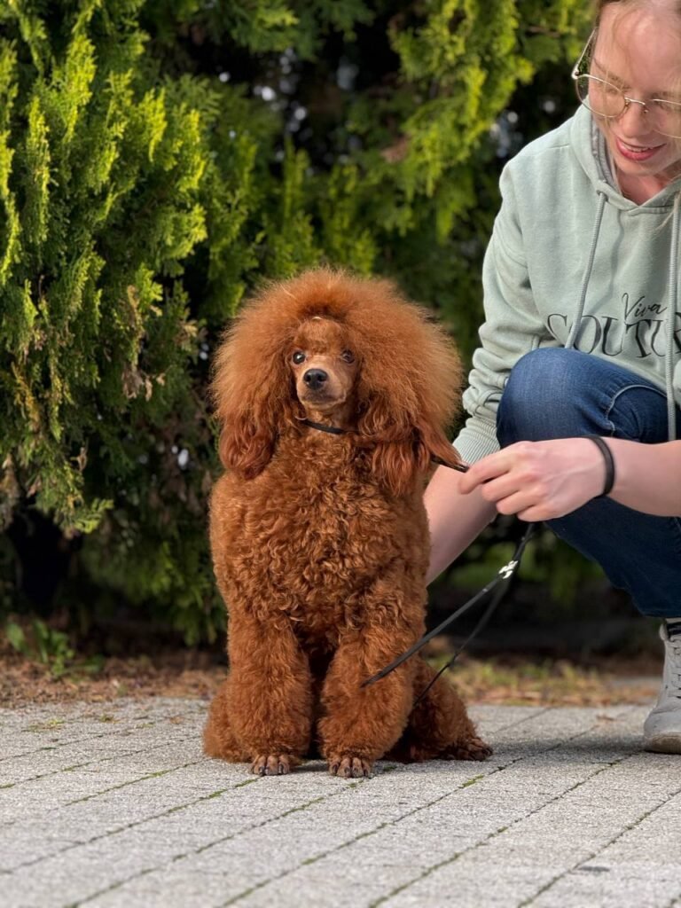 photo 2026 01 04 18 07 33 768x1024