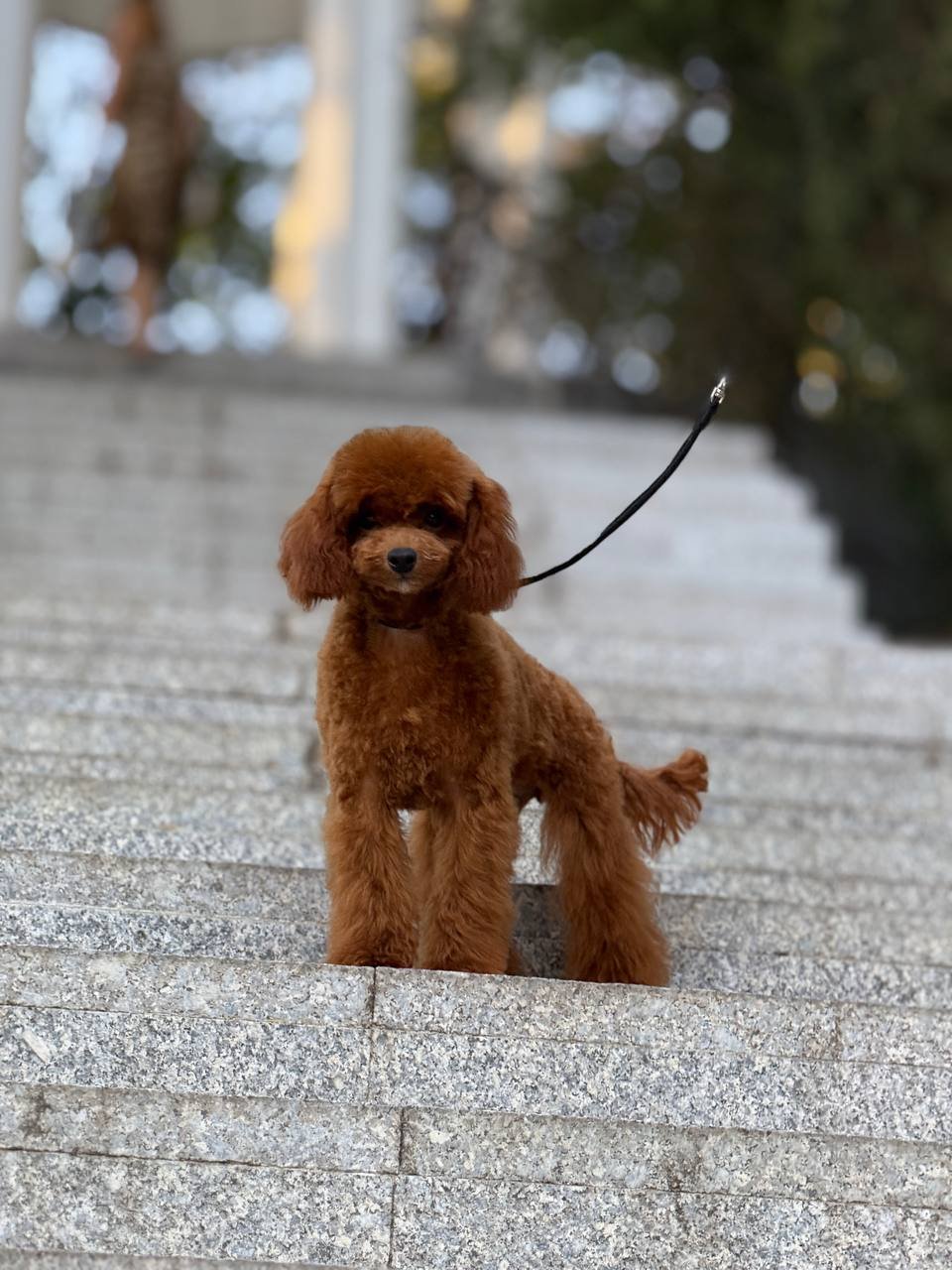 Juventia Juventia - Image 5