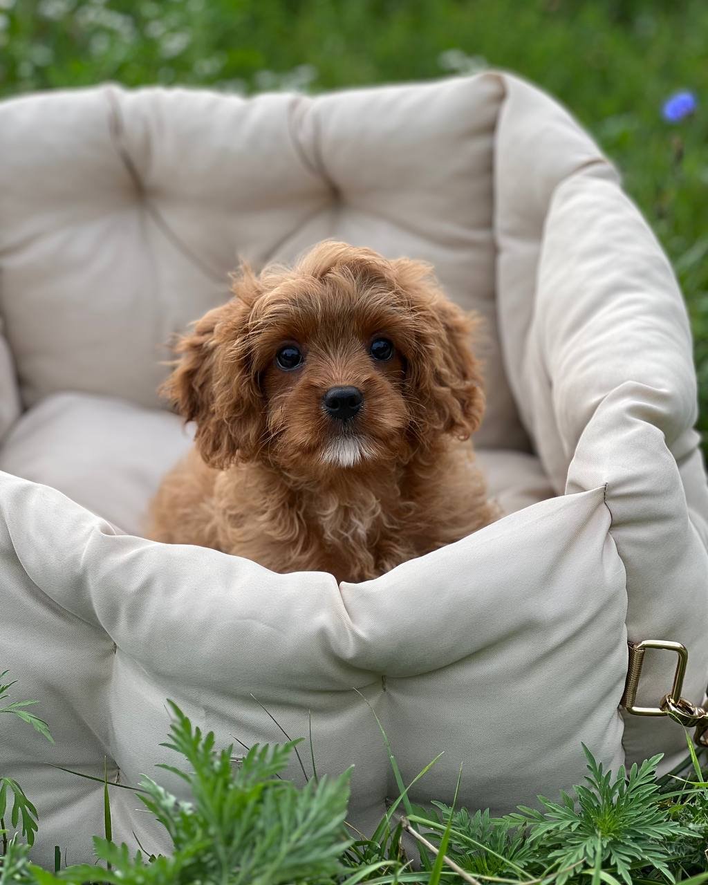 auto draft auto draft