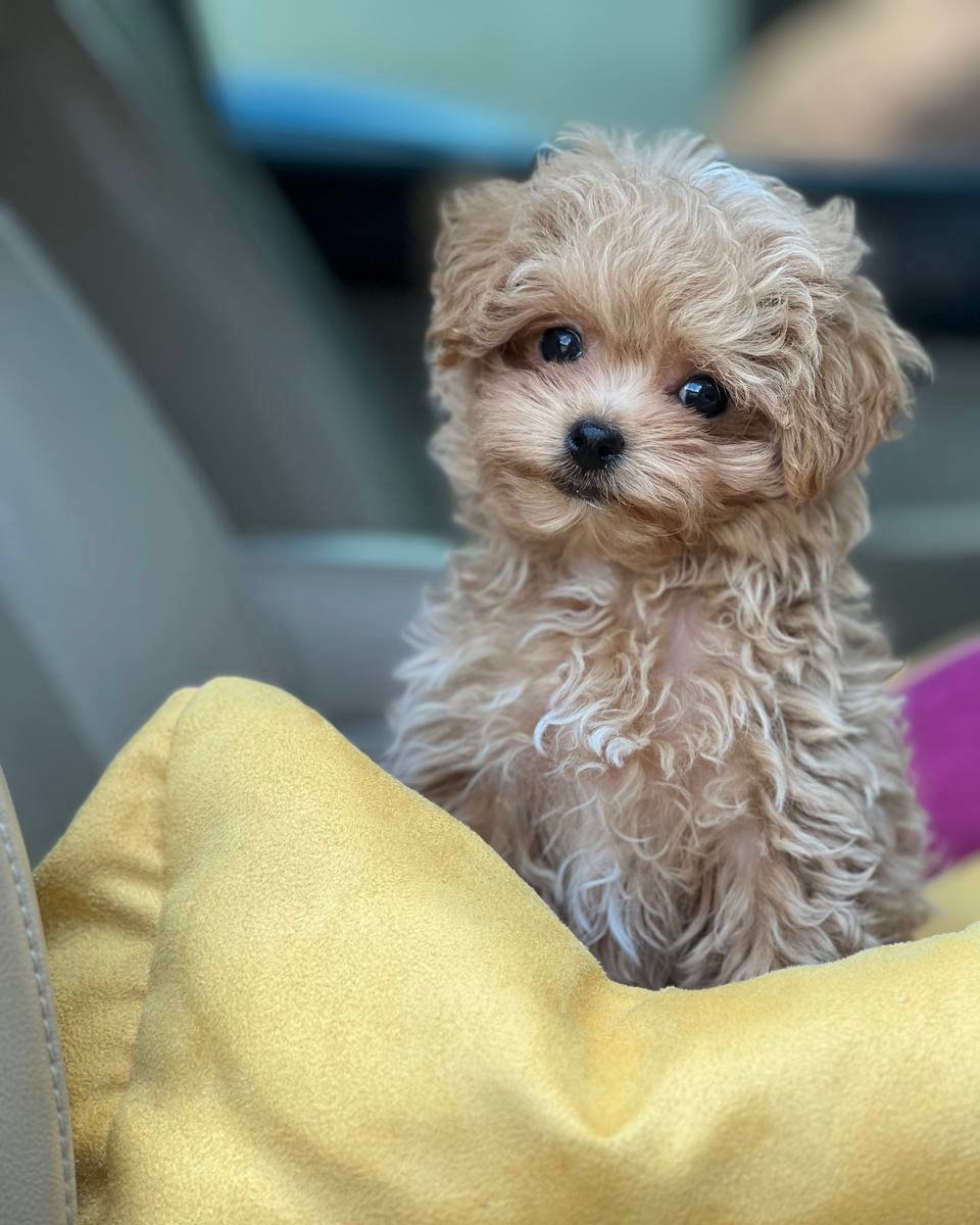 Photo 2026 01 28 14 43 56