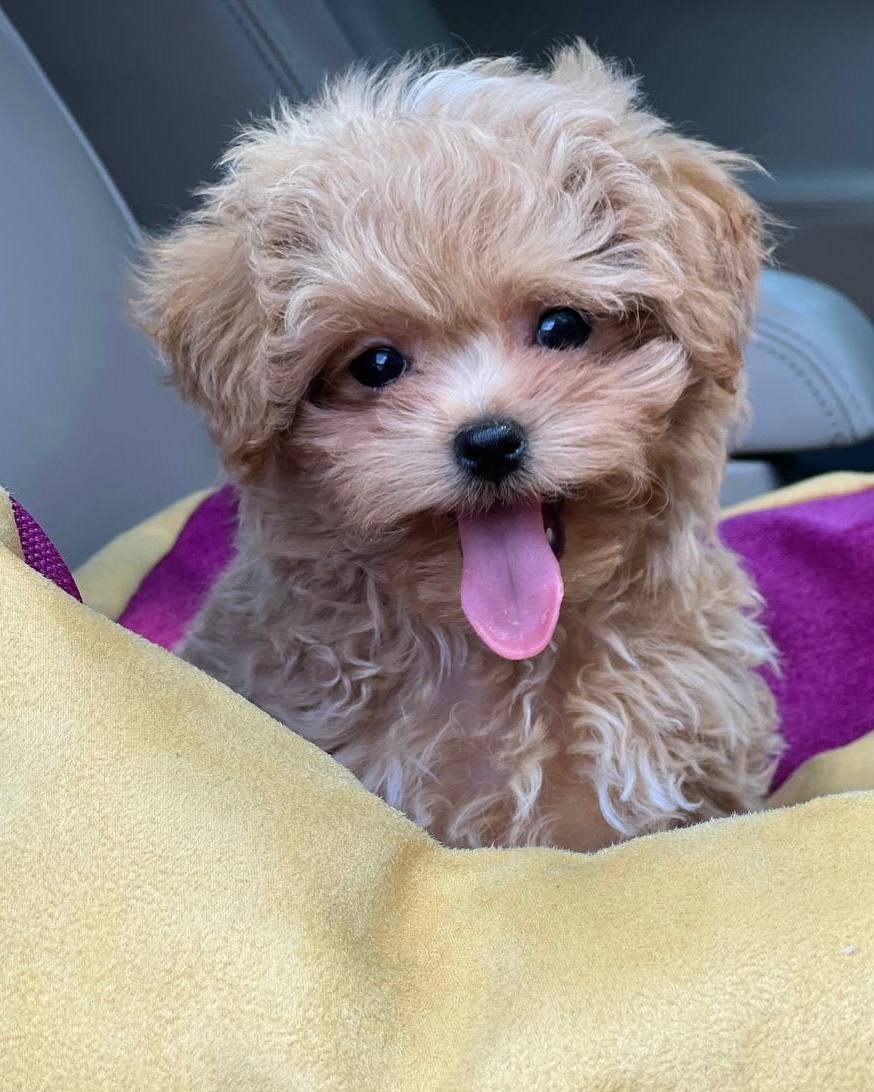 Photo 2026 01 28 14 43 59